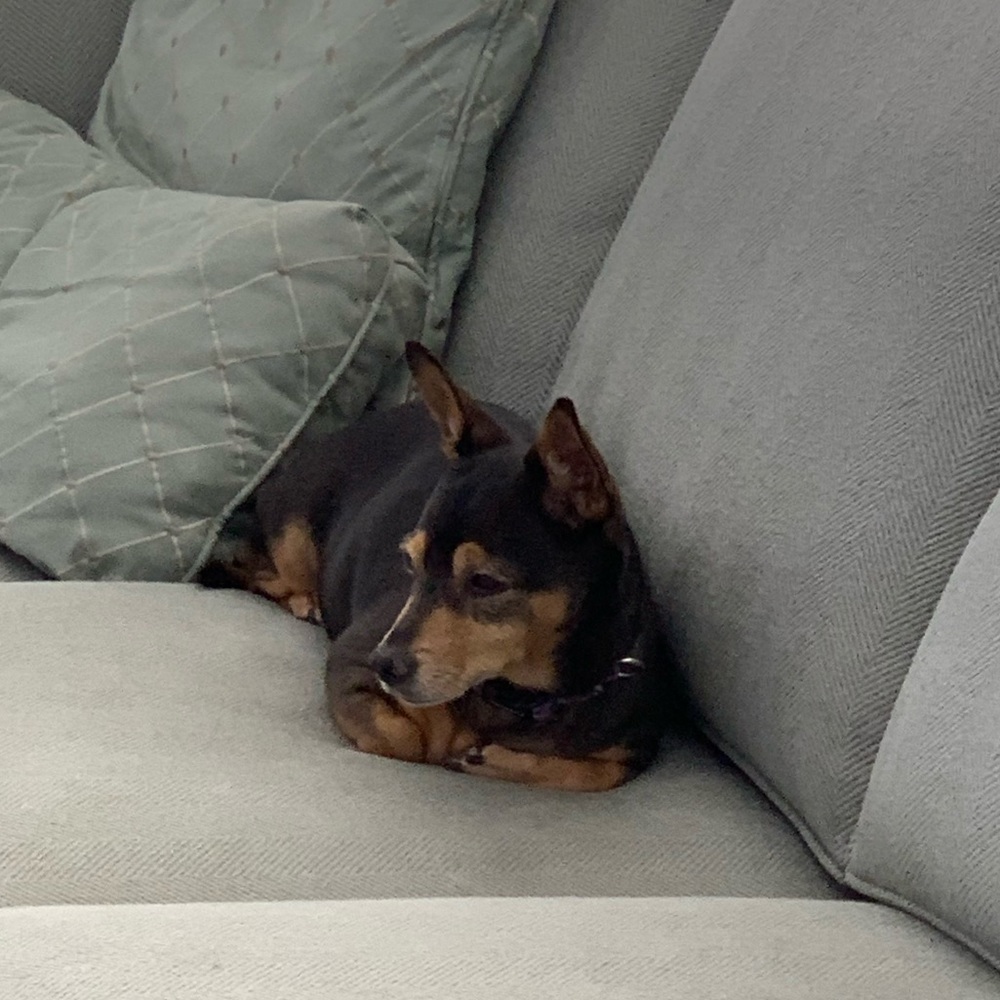 Meet your Posher, Matthew